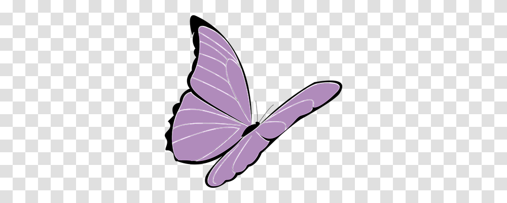 Butterfly Animals, Insect, Invertebrate, Photography Transparent Png