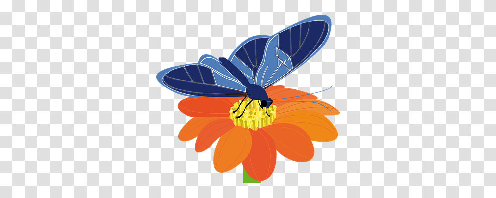 Butterfly Nature, Anther, Flower, Plant Transparent Png