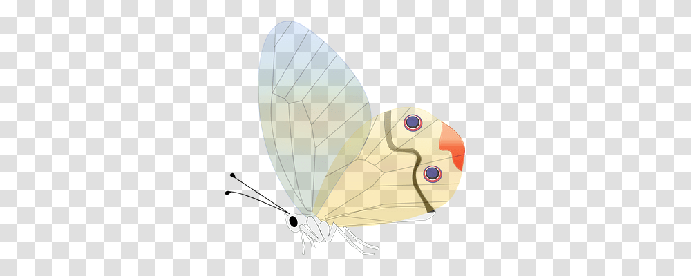 Butterfly Nature, Balloon, Animal, Insect Transparent Png