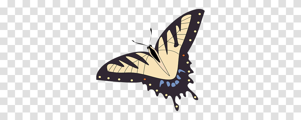Butterfly Animals, Sea Life, Invertebrate, Fossil Transparent Png