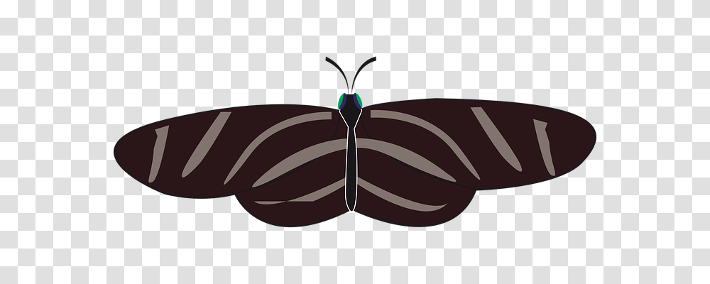 Butterfly Animals, Insect, Invertebrate, Moth Transparent Png