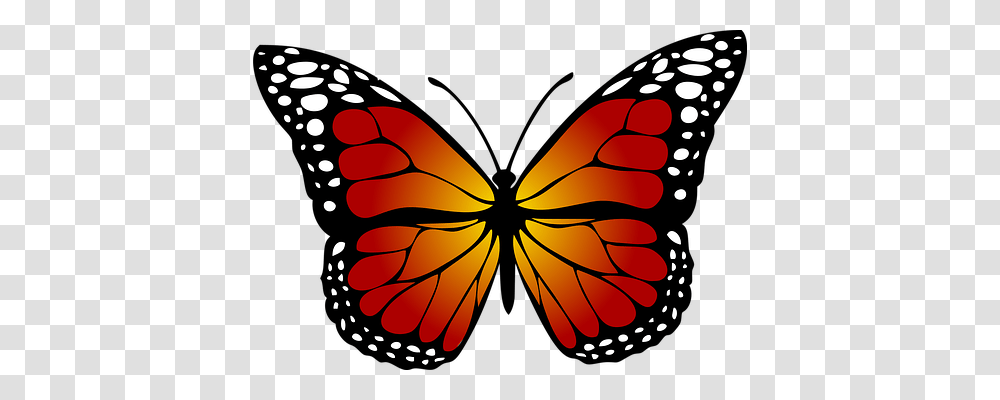 Butterfly Nature, Ornament, Pattern, Fractal Transparent Png