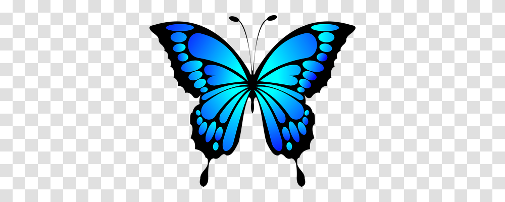 Butterfly Animals, Pattern Transparent Png