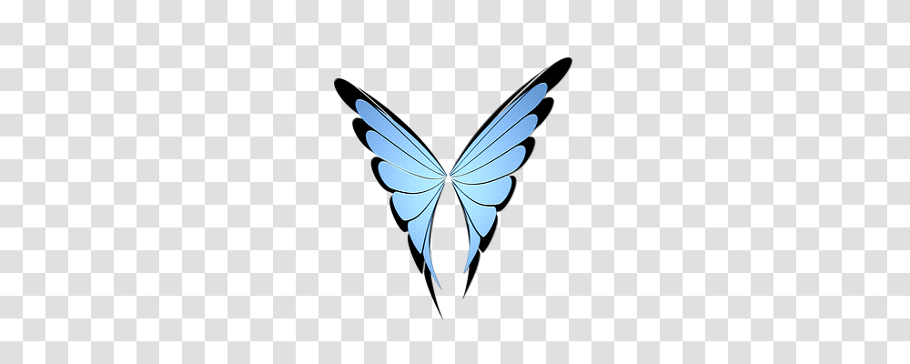 Butterfly Animals, Pattern Transparent Png