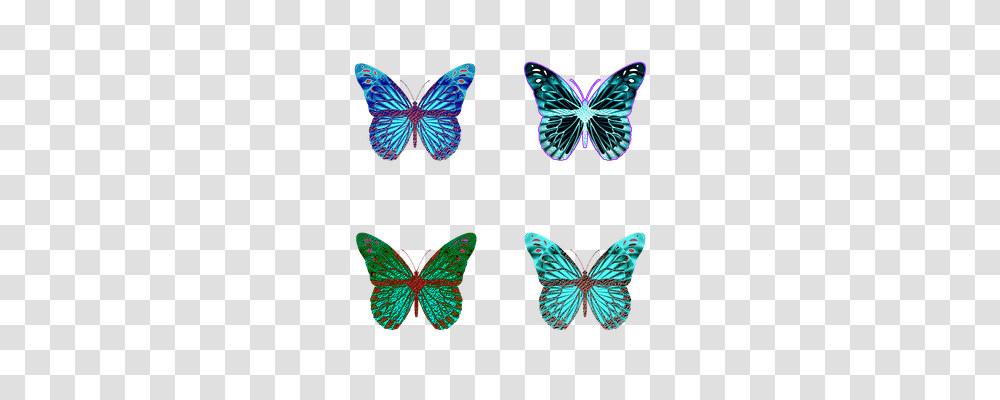 Butterfly Nature, Flower, Plant, Blossom Transparent Png