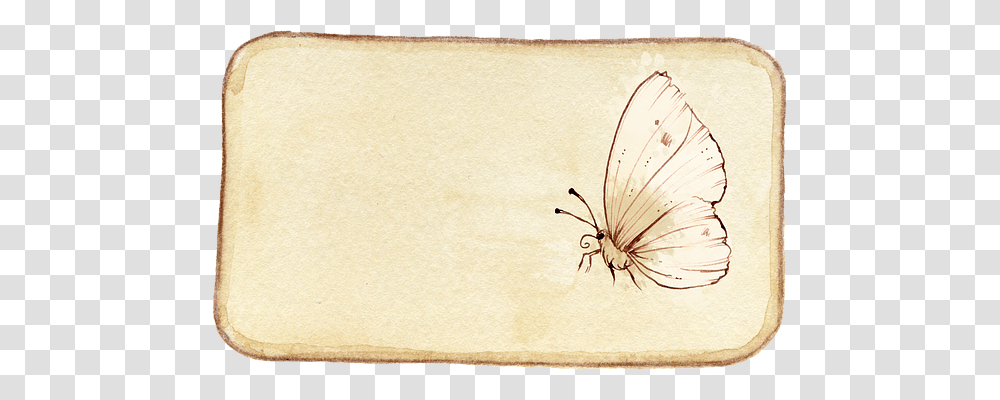Butterfly Insect, Rug, Scroll Transparent Png