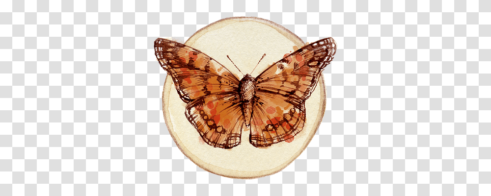 Butterfly Invertebrate, Animal, Insect, Chandelier Transparent Png