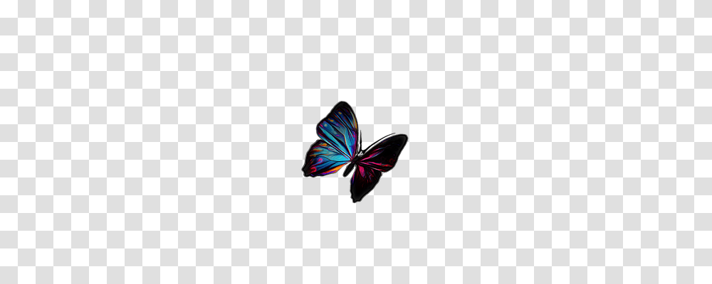 Butterfly Nature, Ornament, Pendant, Accessories Transparent Png