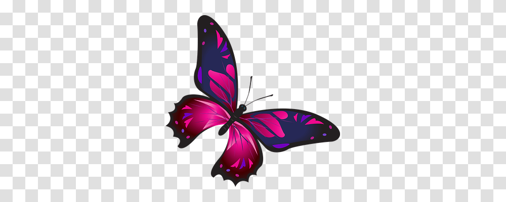 Butterfly Nature, Purple, Plant, Flower Transparent Png