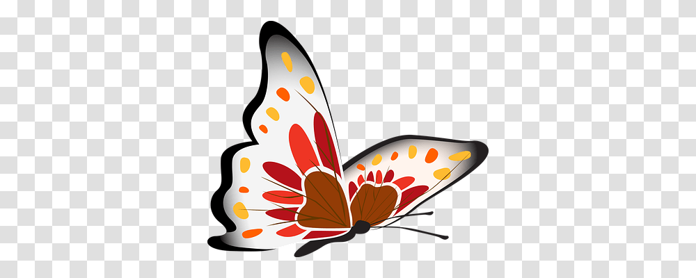 Butterfly Nature, Animal, Sea Life Transparent Png