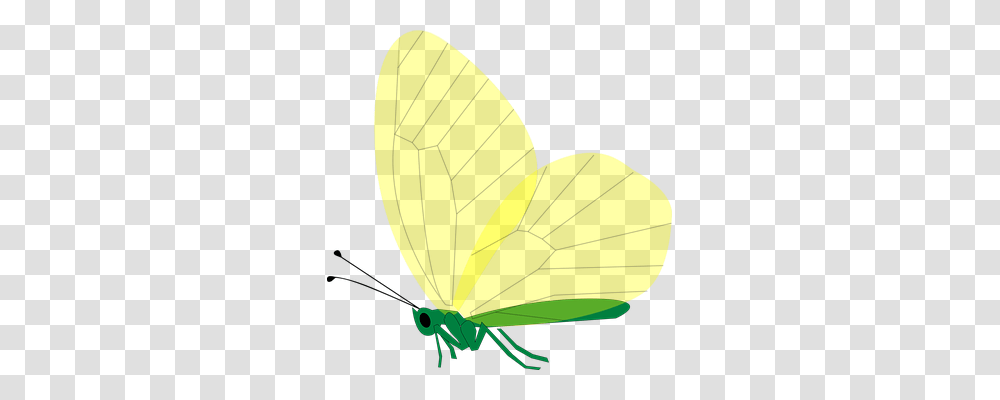 Butterfly Animals, Insect, Invertebrate, Tennis Ball Transparent Png