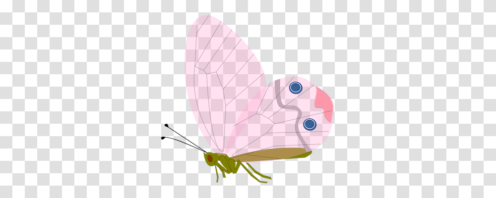 Butterfly Animals, Invertebrate, Insect, Balloon Transparent Png