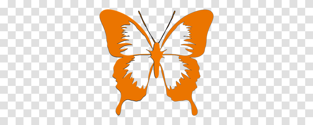 Butterfly Animals, Pattern, Ornament Transparent Png