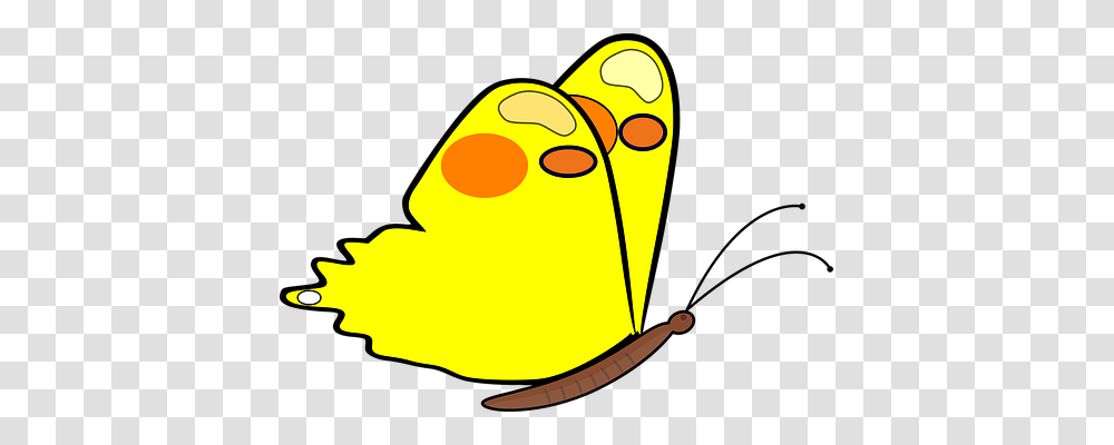 Butterfly Animals, Angry Birds, Pac Man Transparent Png