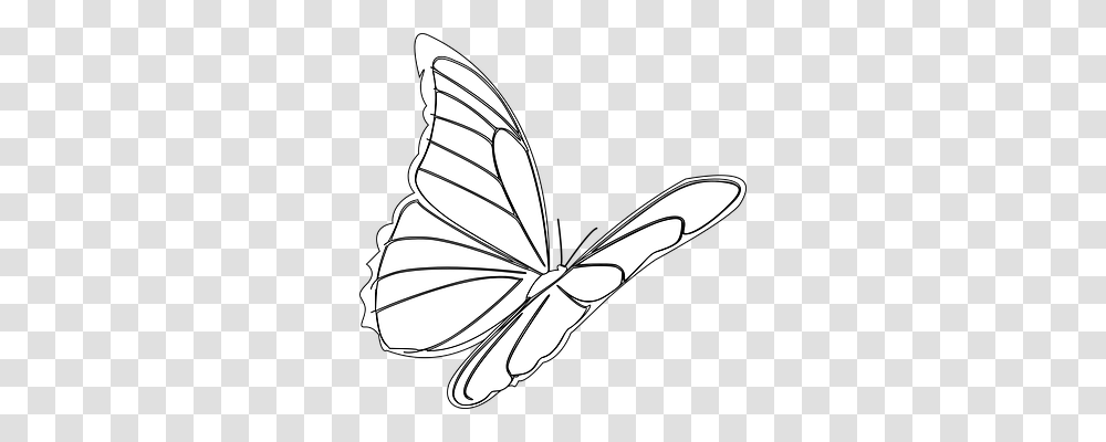 Butterfly Animals, Insect, Invertebrate Transparent Png