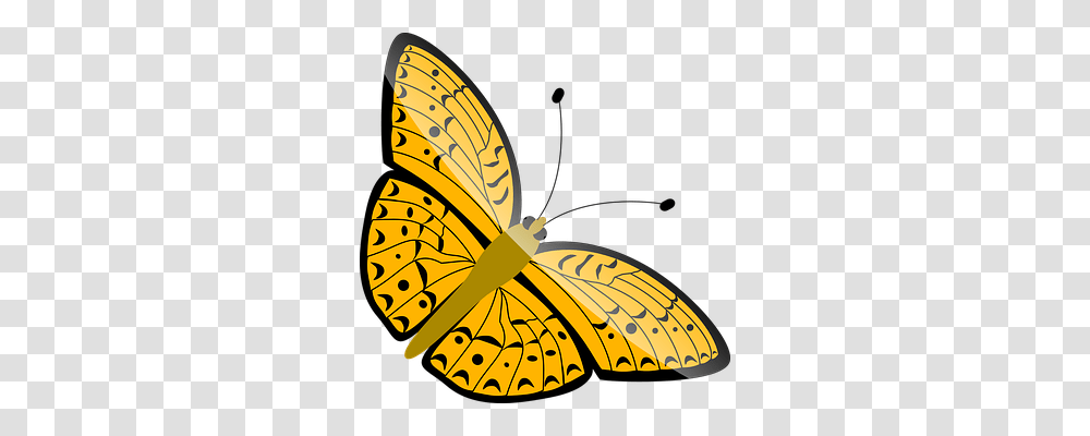 Butterfly Animals, Banana, Fruit, Plant Transparent Png