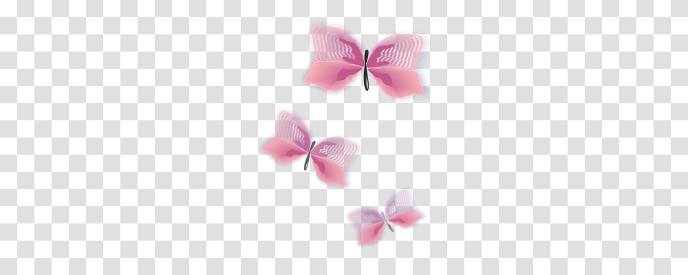 Butterfly Animals, Underwear, Apparel Transparent Png