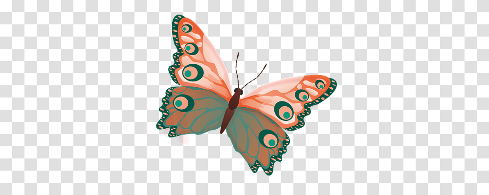Butterfly Animals, Insect, Invertebrate, Pattern Transparent Png