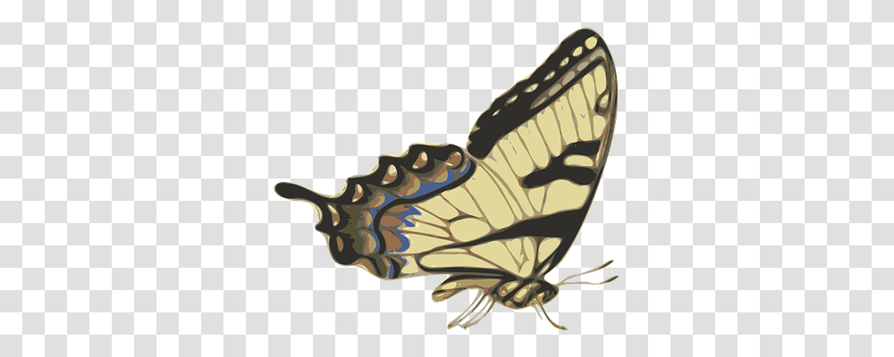 Butterfly Insect, Invertebrate, Animal, Wasp Transparent Png