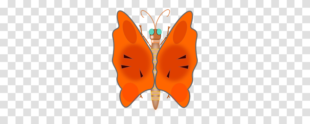 Butterfly Emotion, Plant, Vegetable, Food Transparent Png