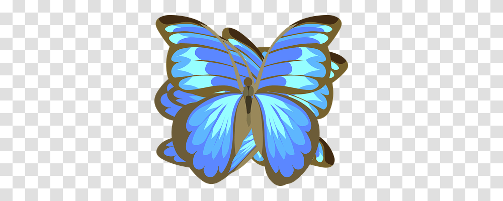 Butterfly Animals, Pattern, Insect, Invertebrate Transparent Png