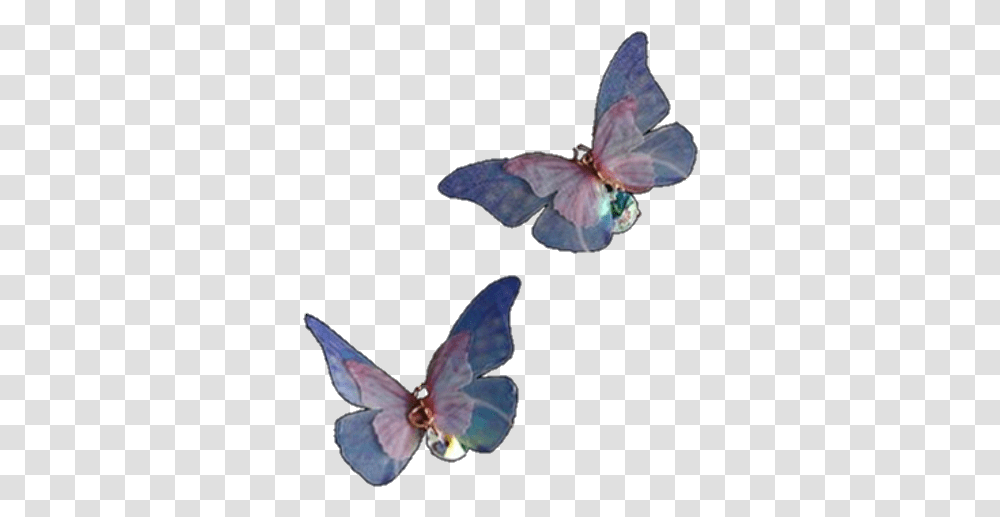 Butterfly Aesthetic Purple Lila Niche Soft Cute Gru Butterfly Aesthetic, Insect, Invertebrate, Animal, Moth Transparent Png