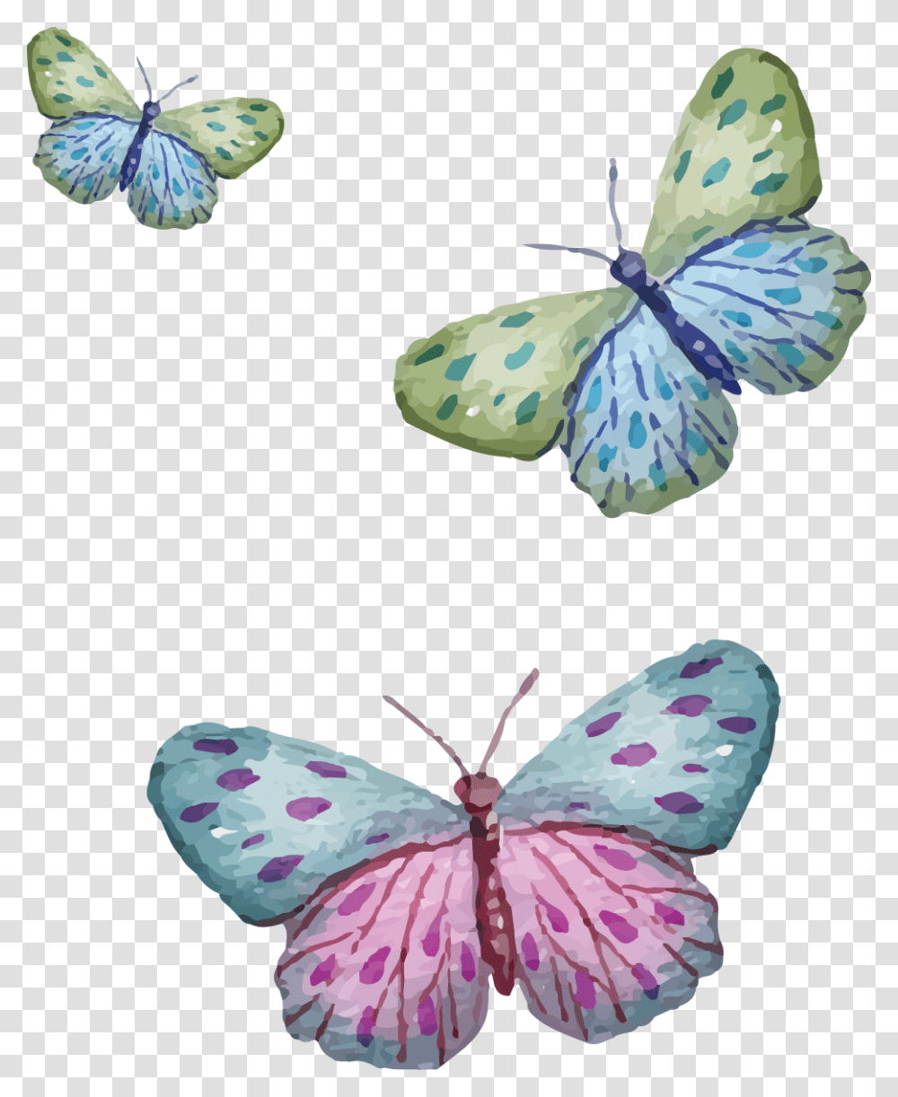 Butterfly, Animal, Insect, Invertebrate, Flower Transparent Png