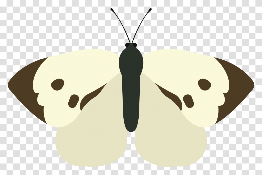 Butterfly, Animal, Insect, Invertebrate, Moth Transparent Png