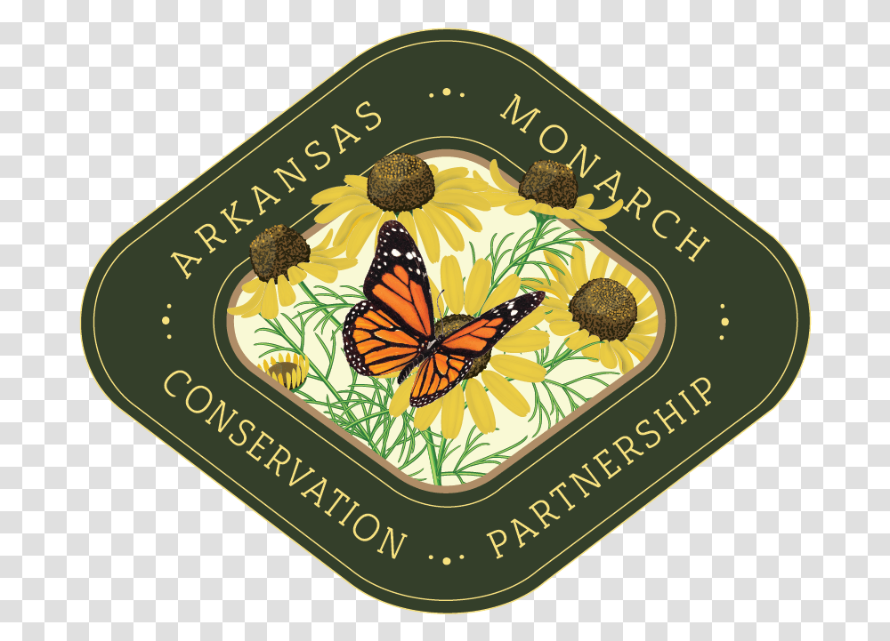 Butterfly, Animal, Invertebrate, Monarch, Insect Transparent Png