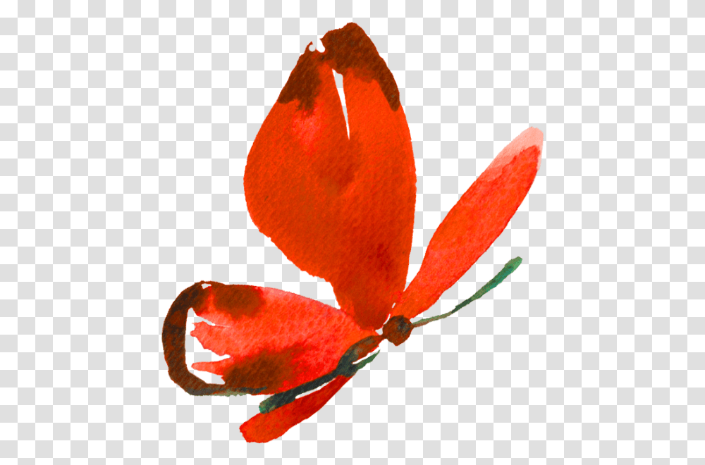 Butterfly Animal Watercolor Butterflies Insect, Plant, Flower, Blossom, Bird Transparent Png