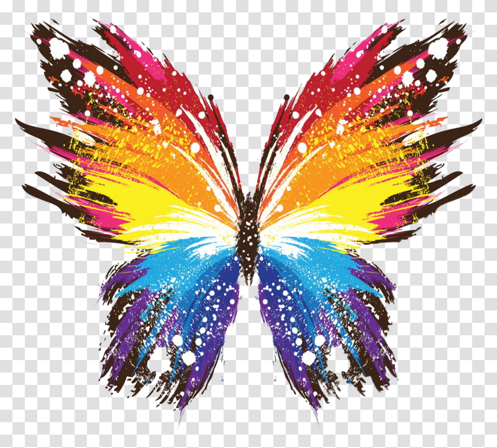 Butterfly Art Color Transparent Png
