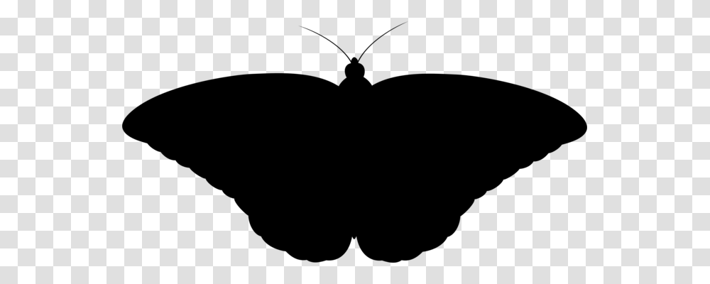 Butterfly Beetle Silhouette Insect Wing Drawing, Gray, World Of Warcraft Transparent Png