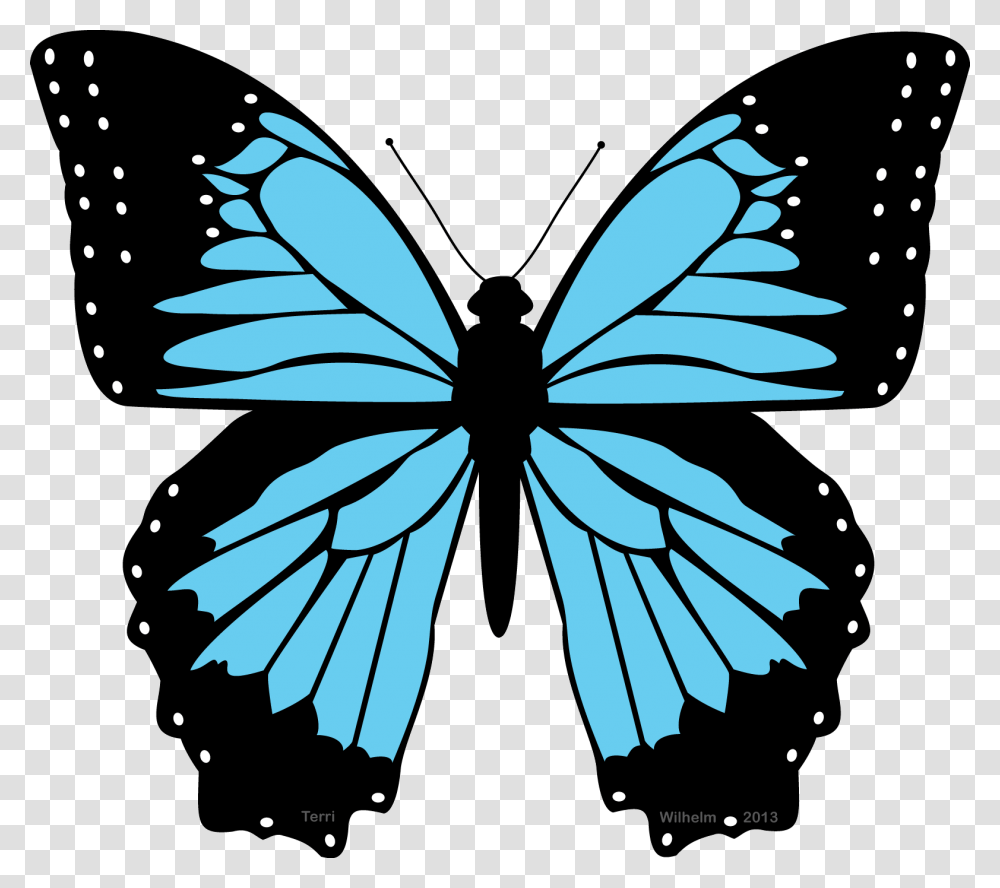 Butterfly Black And Blue Clipart The Cliparts Blue Morpho Butterfly Clipart, Pattern, Bow, Insect Transparent Png