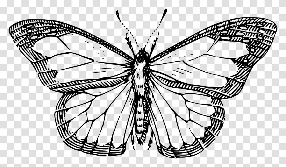 Butterfly Black White Line Art Drawing Scalable Vector Graphics, Insect, Invertebrate, Animal, Dragonfly Transparent Png