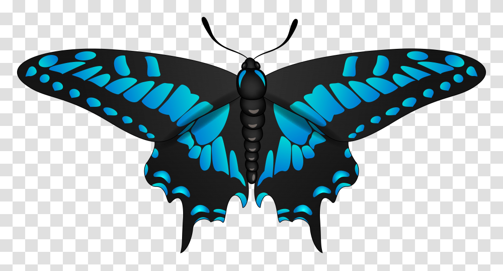 Butterfly Blue Black Clip Art, Jay, Bird, Animal, Blue Jay Transparent Png