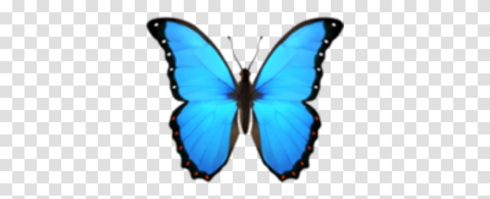 Butterfly Blue Bluebutterfly Emoji Butterfly Emoji, Insect, Invertebrate, Animal, Moth Transparent Png