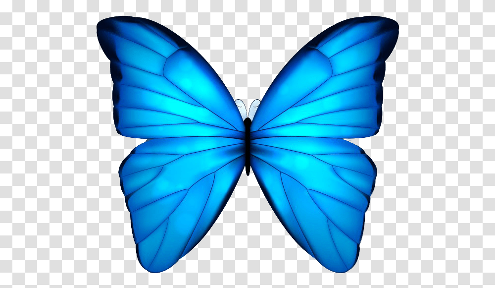 Butterfly Blue Clip Art Blue Butterfly White Background, Ornament, Pattern, Fractal, Insect Transparent Png