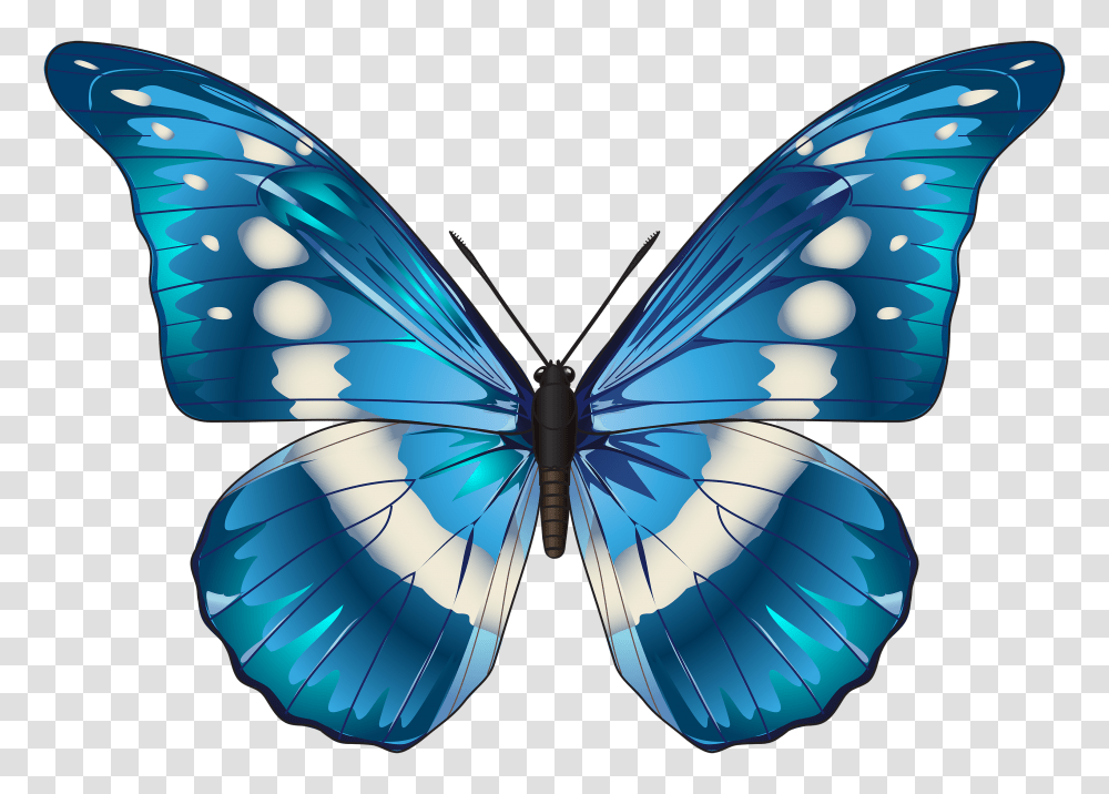 Butterfly Blue Clip Art, Pattern, Balloon, Ornament Transparent Png