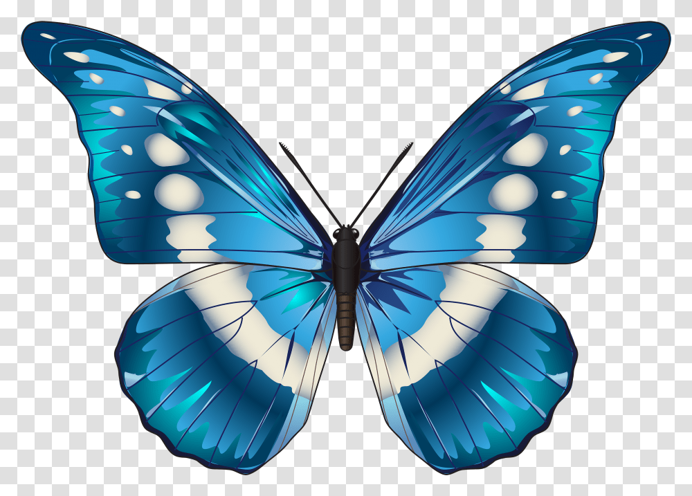 Butterfly Blue Clip Art Image Background Butterfly Clipart, Graphics, Pattern, Ornament, Balloon Transparent Png