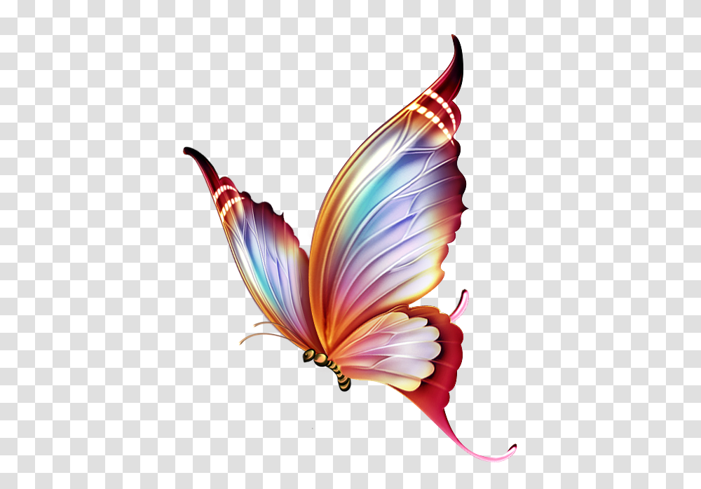 Butterfly Borboletas Pintura Em Tecido E Adesivo, Floral Design, Pattern Transparent Png