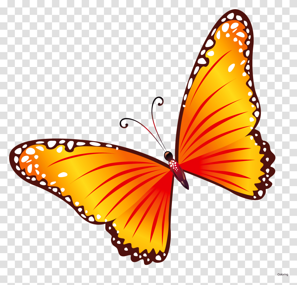 Butterfly Border Clipart Background Butterfly Clipart Free, Insect, Invertebrate, Animal, Pattern Transparent Png