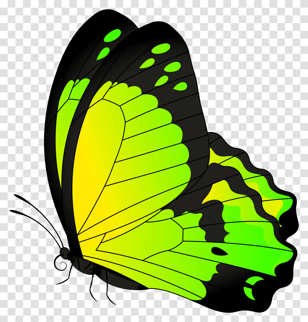 Butterfly Border Clipart Butterfly Photo Green, Insect, Invertebrate, Animal, Soccer Ball Transparent Png