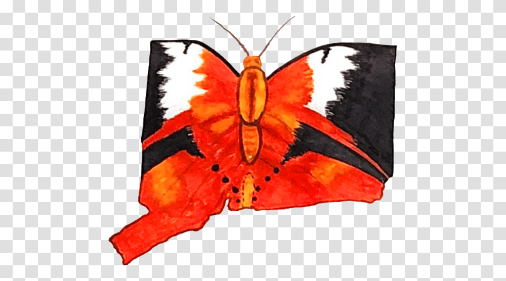 Butterfly Brush Footed Butterfly, Insect, Invertebrate, Animal, Moth Transparent Png