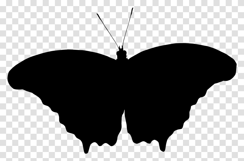 Butterfly Brush Footed Papilio, Gray, World Of Warcraft Transparent Png