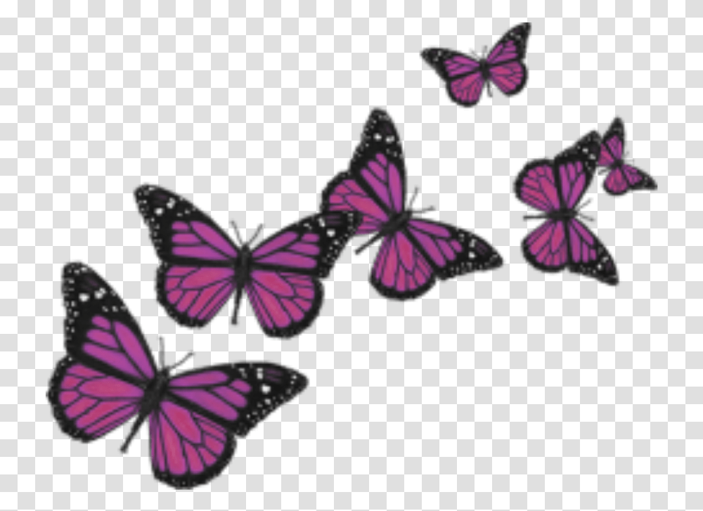 Butterfly Butterflies Cute Nature Pink Love Wings Butterflies Background, Insect, Invertebrate, Animal, Purple Transparent Png