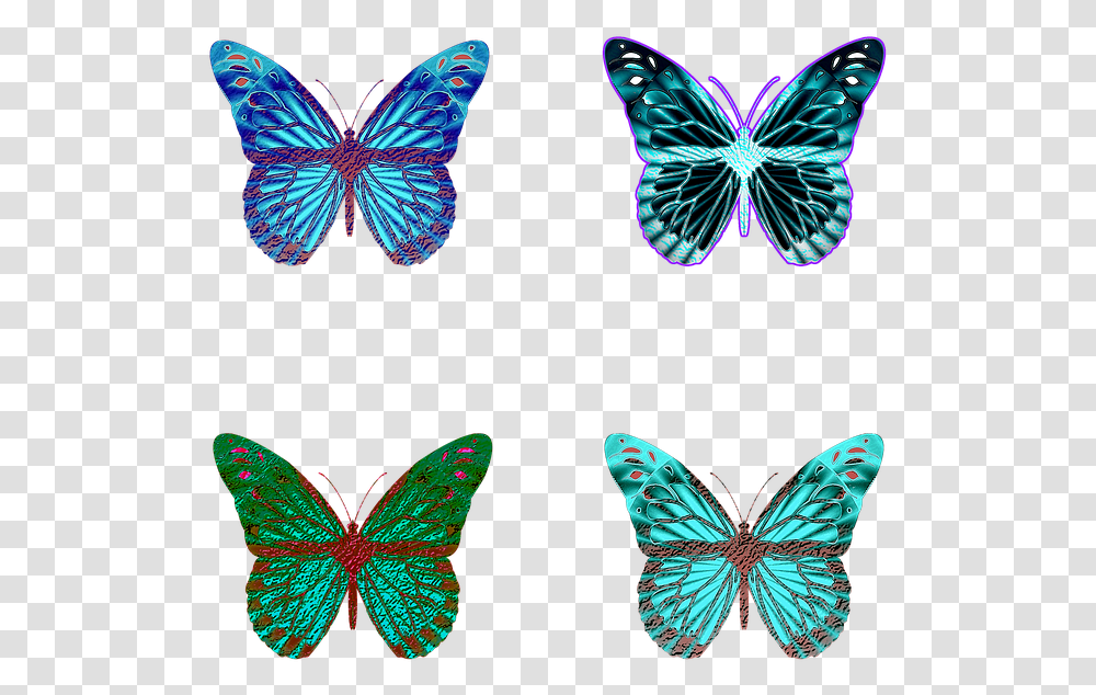 Butterfly Butterflies Iridescent Wings Op Art, Pattern, Ornament, Insect, Invertebrate Transparent Png