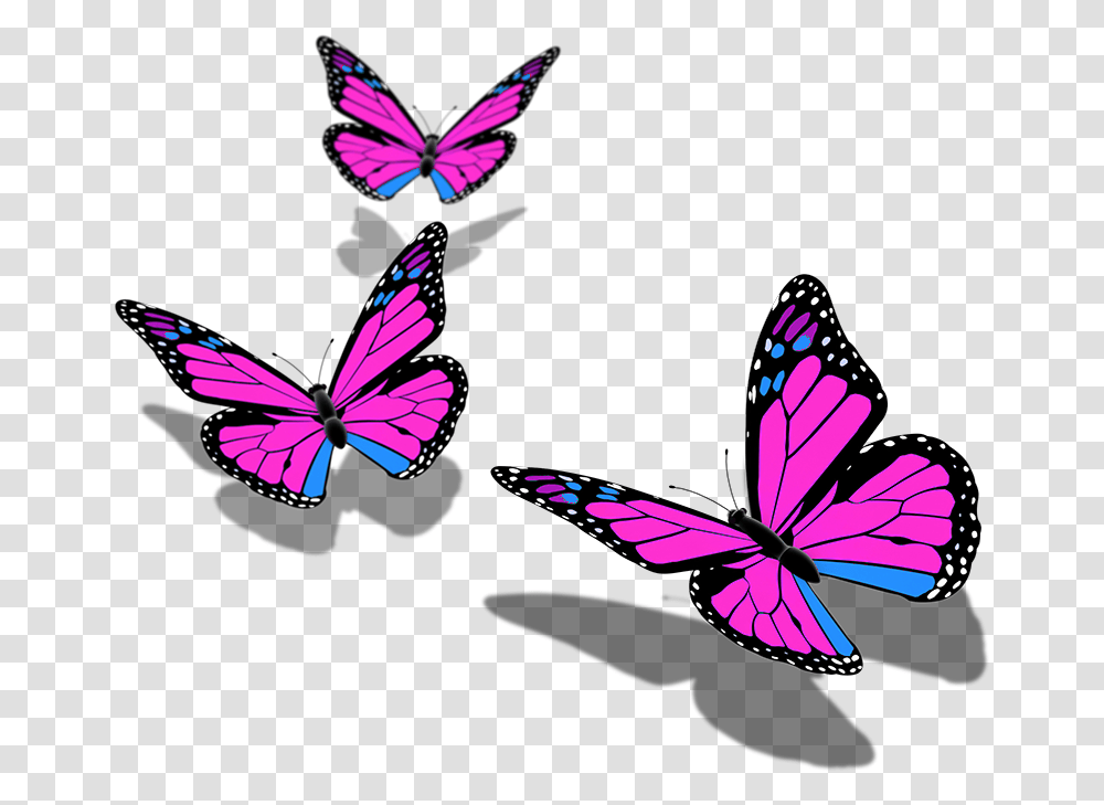 Butterfly Butterflies Mariposa Ftestickers Stickers Background Butterfly Hd, Insect, Invertebrate, Animal, Monarch Transparent Png