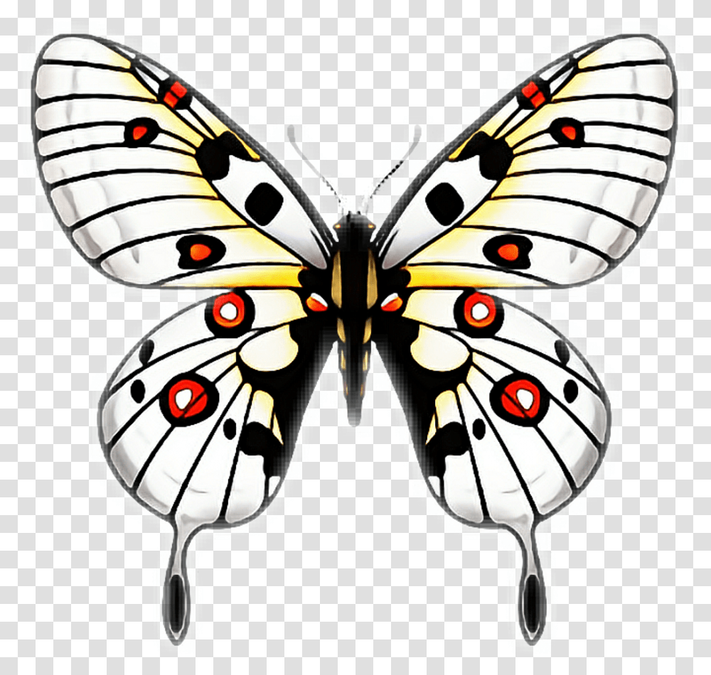 Butterfly Butterflies Papillon Mariposa Ftestickers Clip Art Kupu Kupu, Pattern, Ornament, Bird, Animal Transparent Png