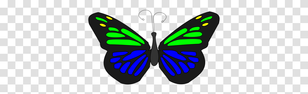Butterfly Butterfly Animation, Insect, Invertebrate, Animal Transparent Png