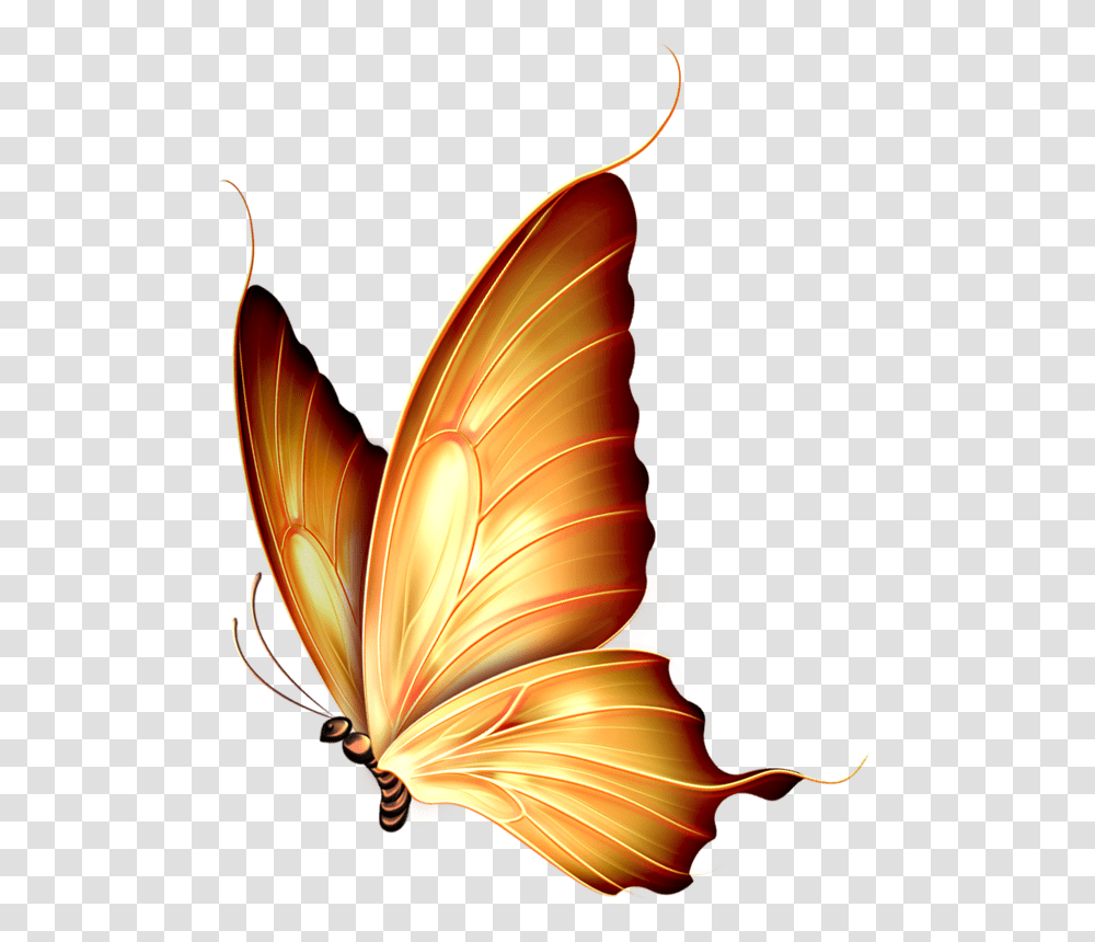 Butterfly Butterfly, Pattern, Lighting Transparent Png